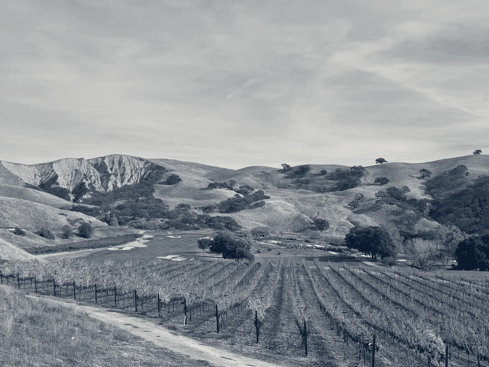 The Course at Wente Vineyards — Livermore, California