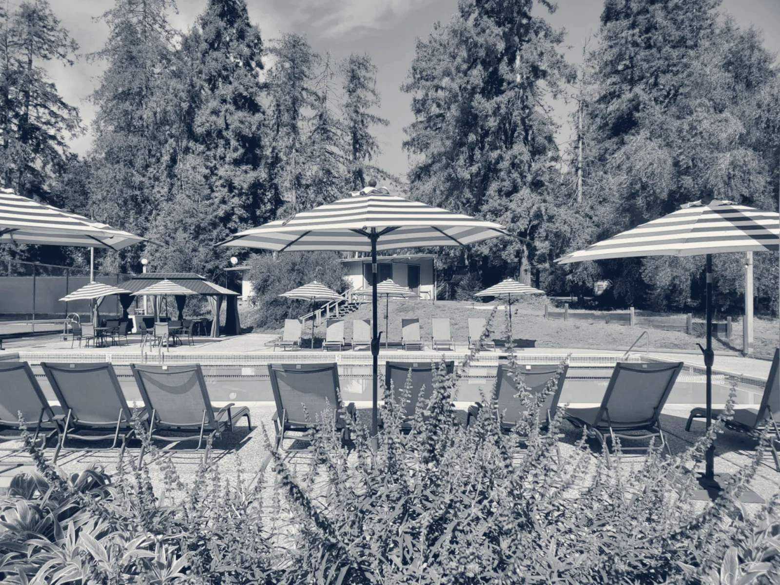 Mission Hills Racquet and Swim Club — Fremont, California