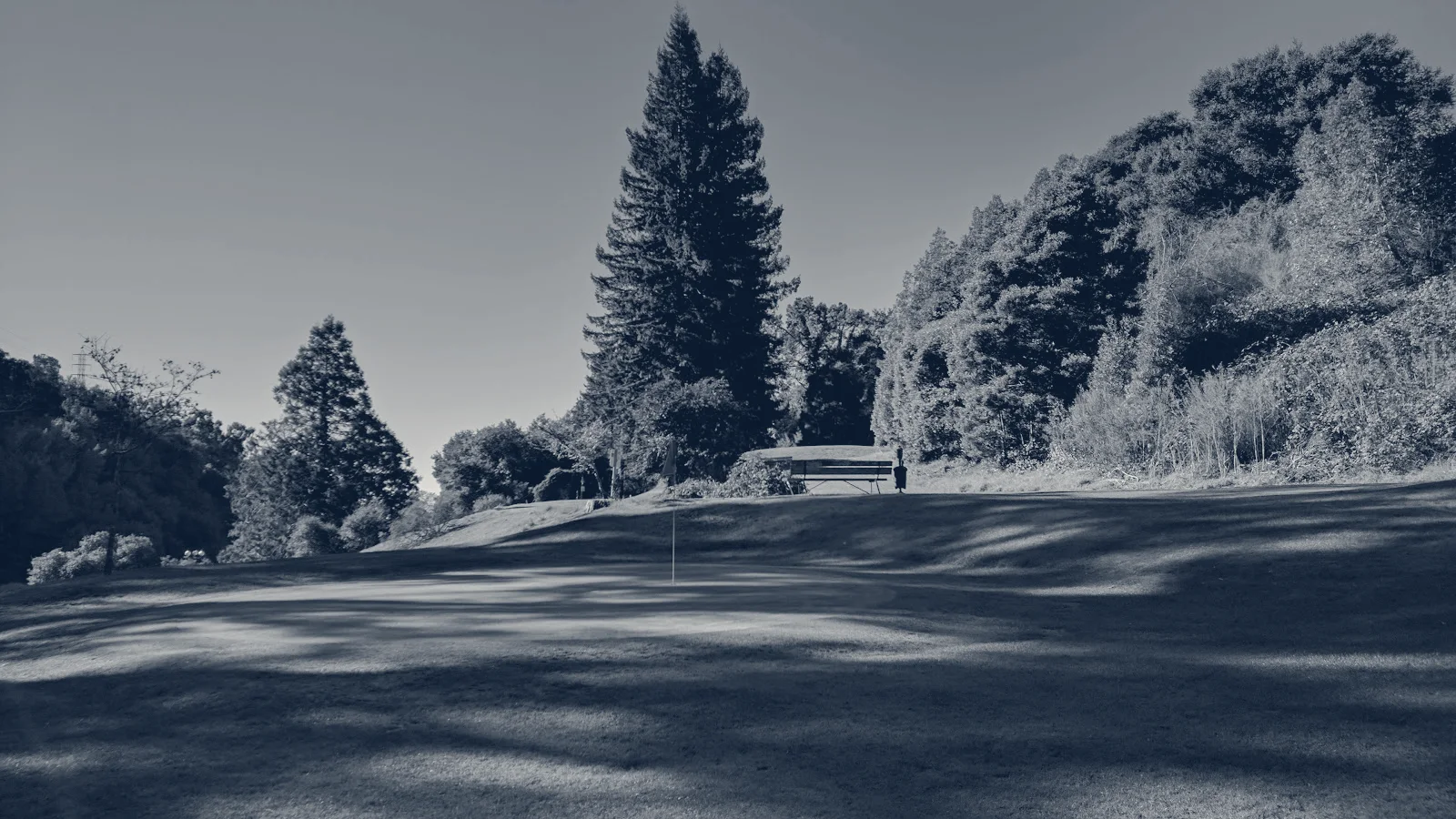 Montclair Golf Enterprises — Oakland, California