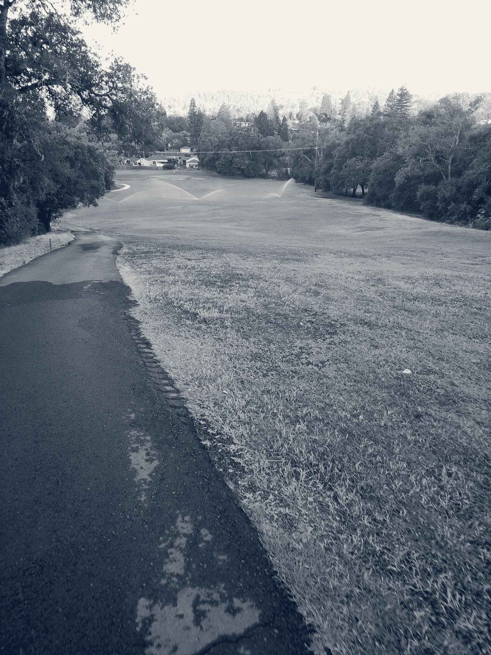 Healdsburg Golf Club at Tayman Park — Healdsburg, California