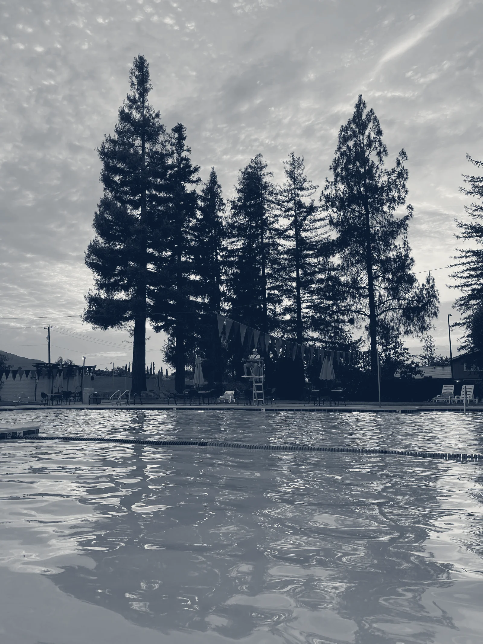 Shadow Brook Swim Club — San Jose, California