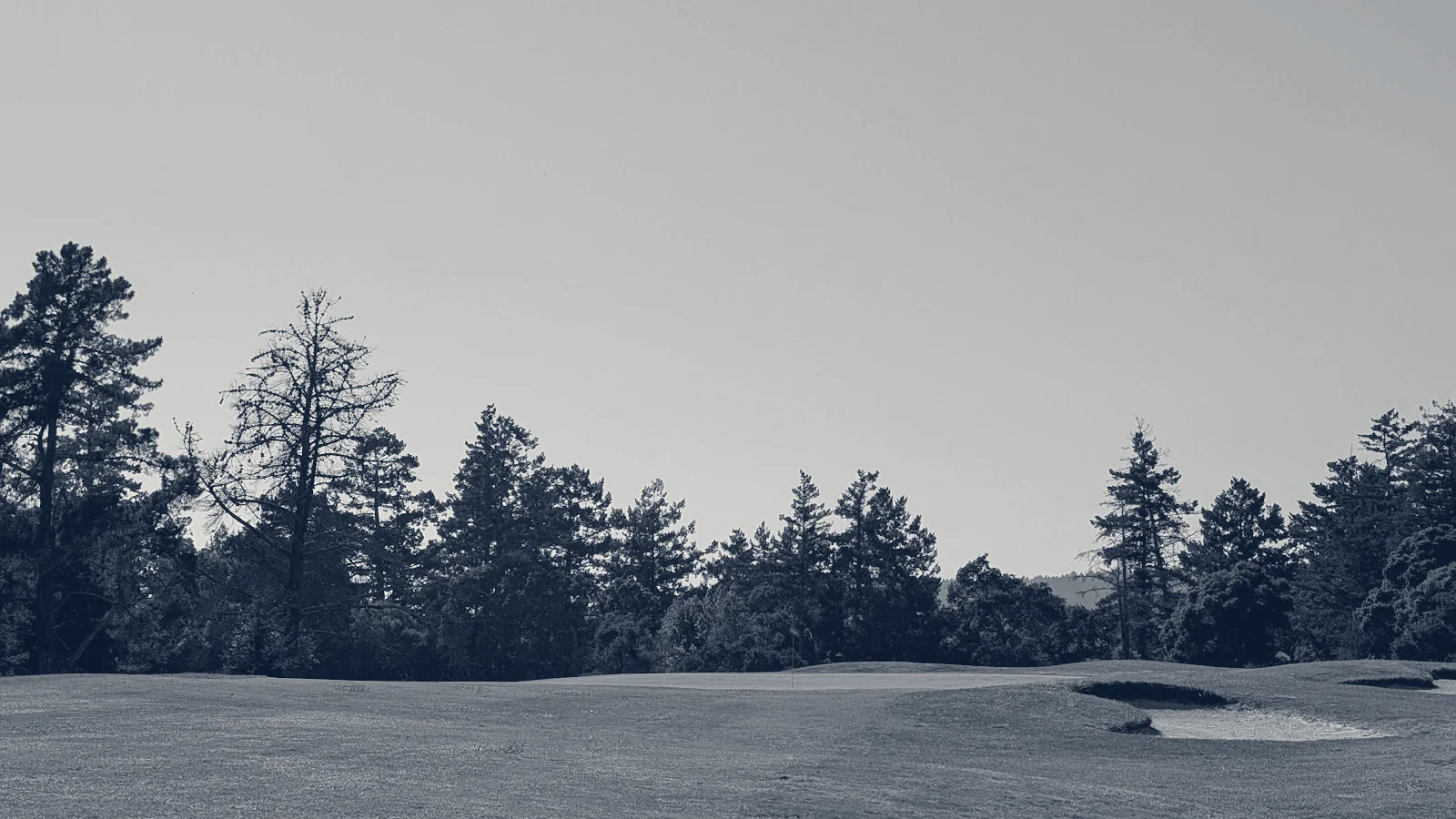 DeLaveaga Golf Course — Santa Cruz, California