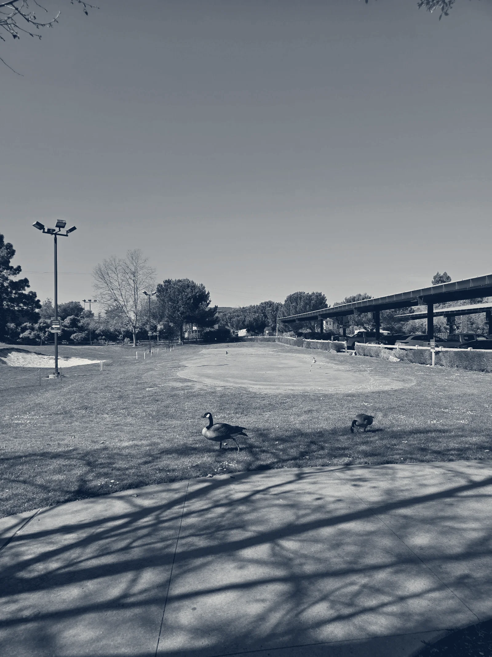 Mission Hill of Hayward Driving Range — Hayward, California