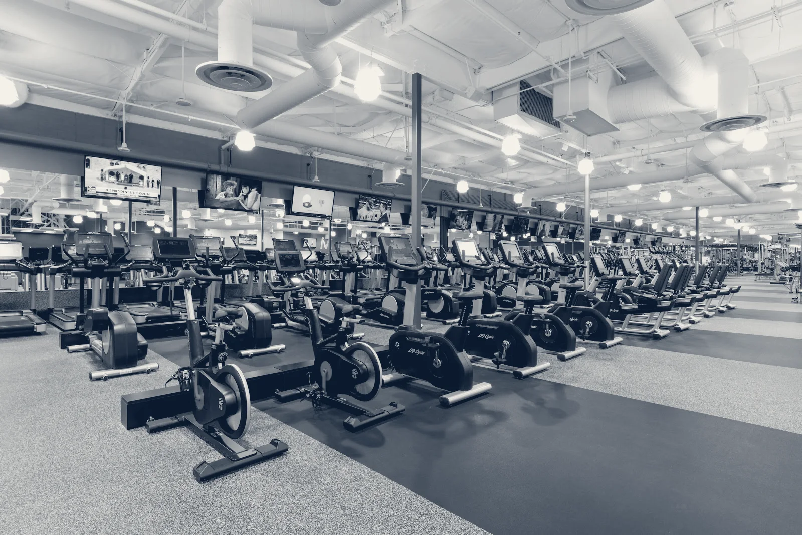 Vim + Vigor Fitness — San Jose, California