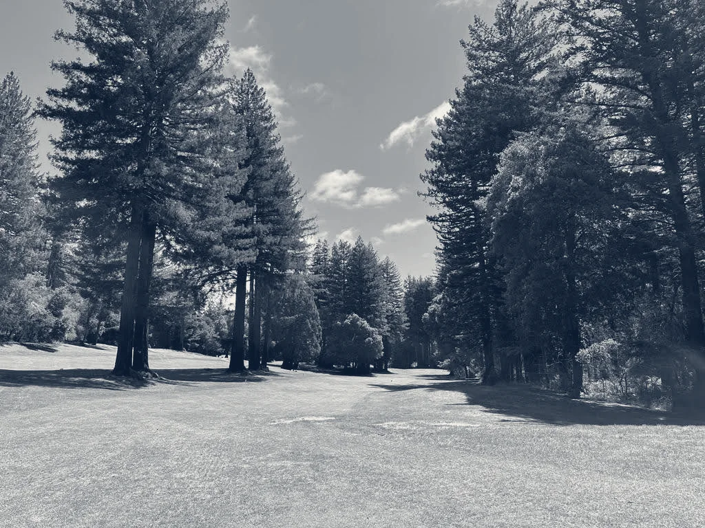 Boulder Creek Golf and Country Club — Boulder Creek, California