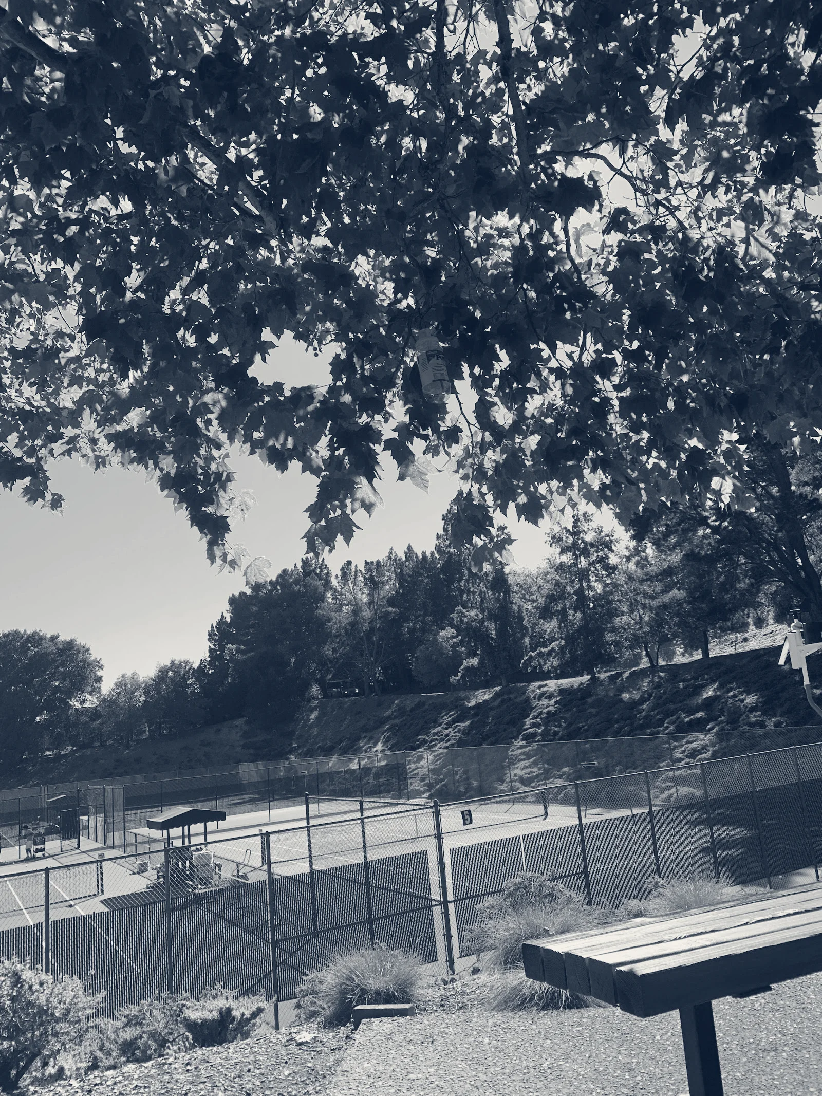 Orindawoods Tennis Club — Orinda, California