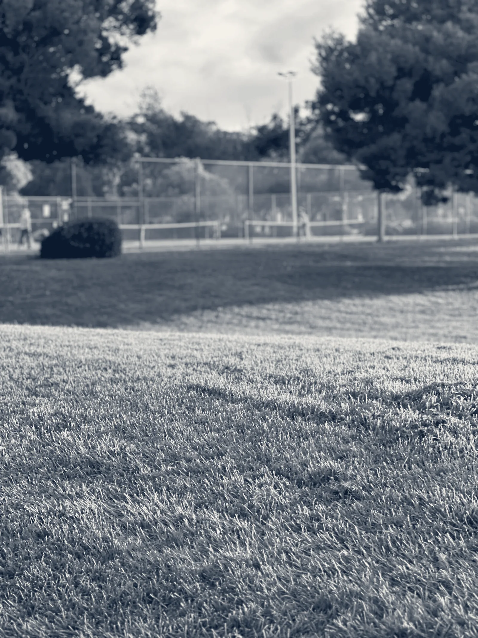 Frank Fisher Park Tennis Courts — Fremont, California