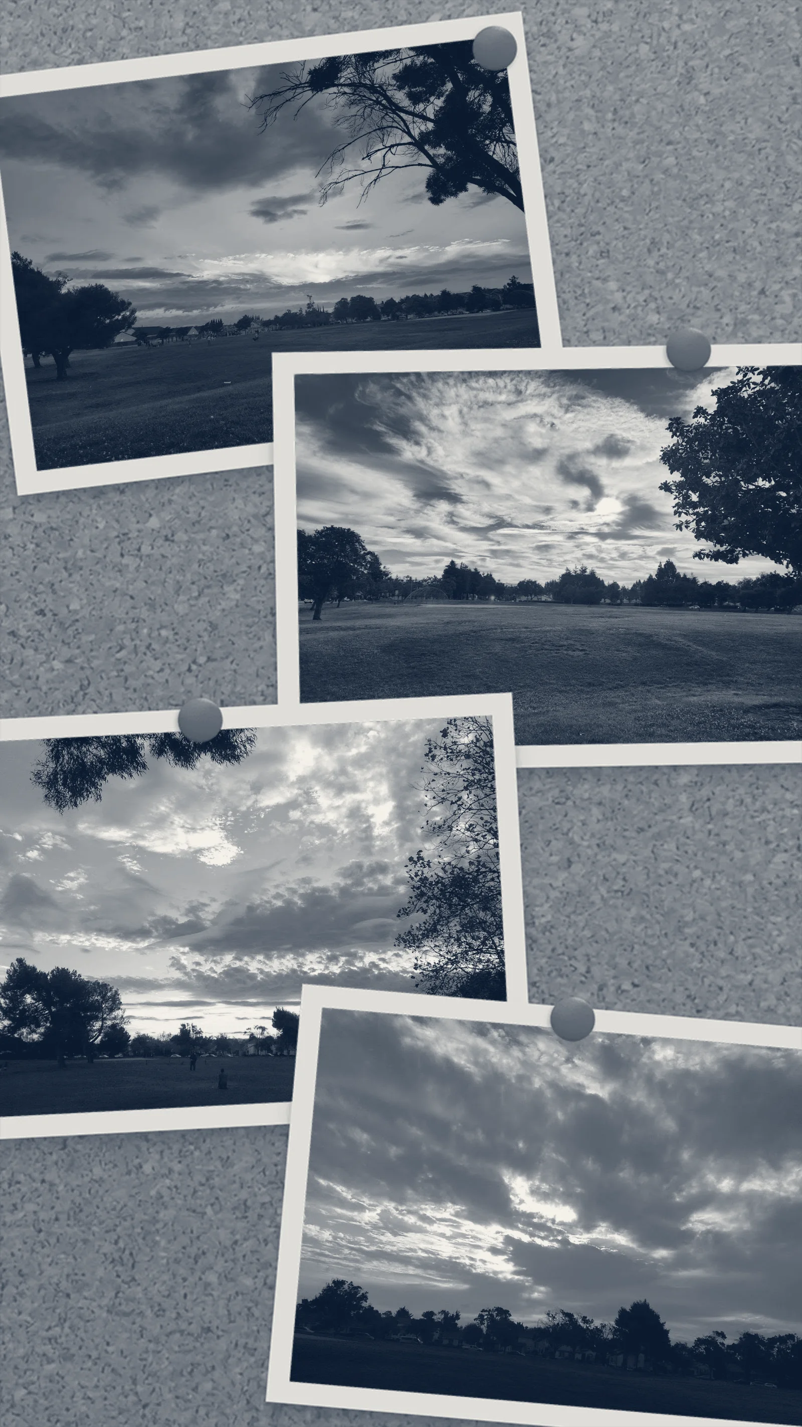 Frank Fisher Park Tennis Courts — Fremont, California