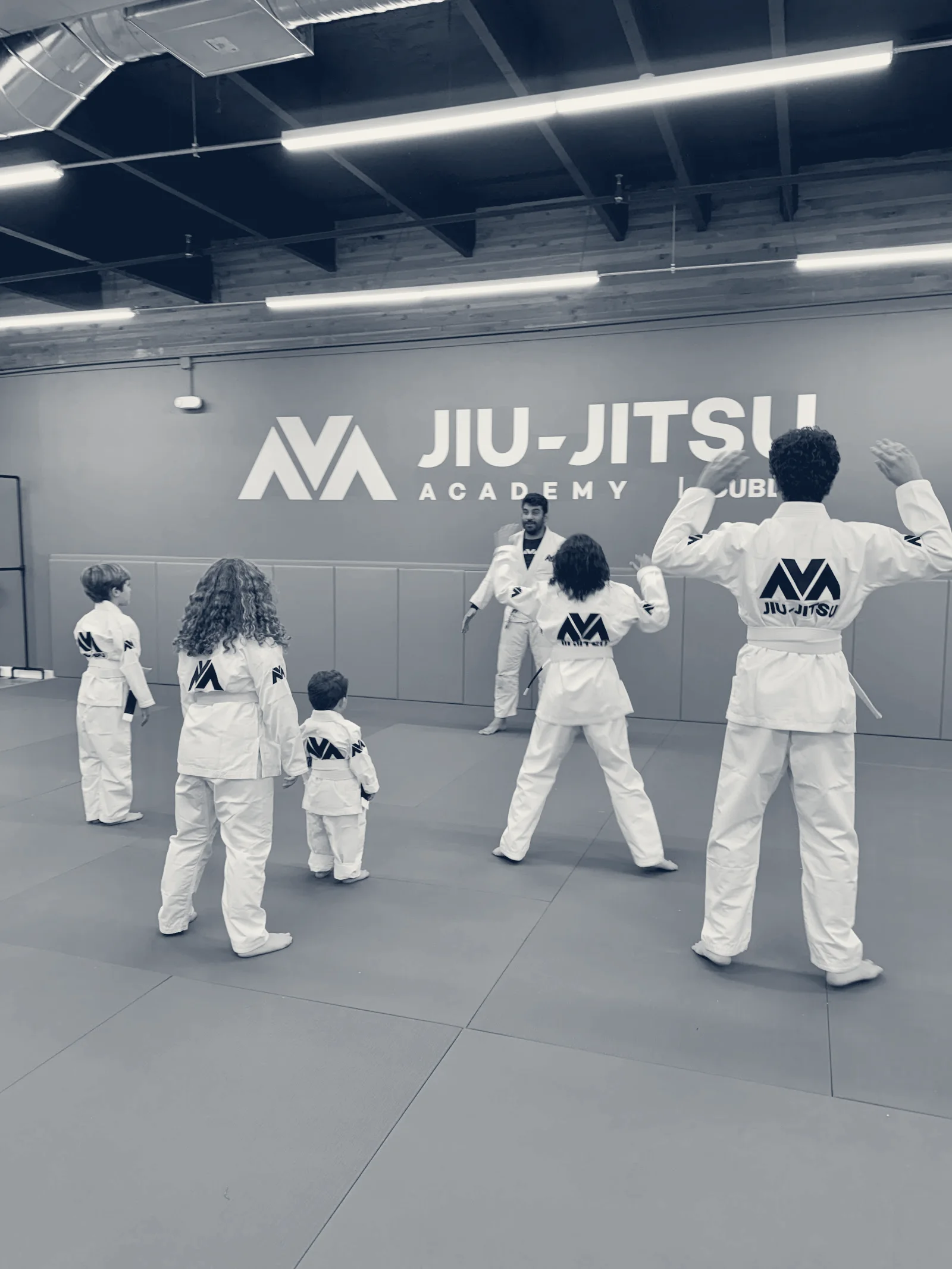 AVA JIU-JITSU ACADEMY — Dublin, California