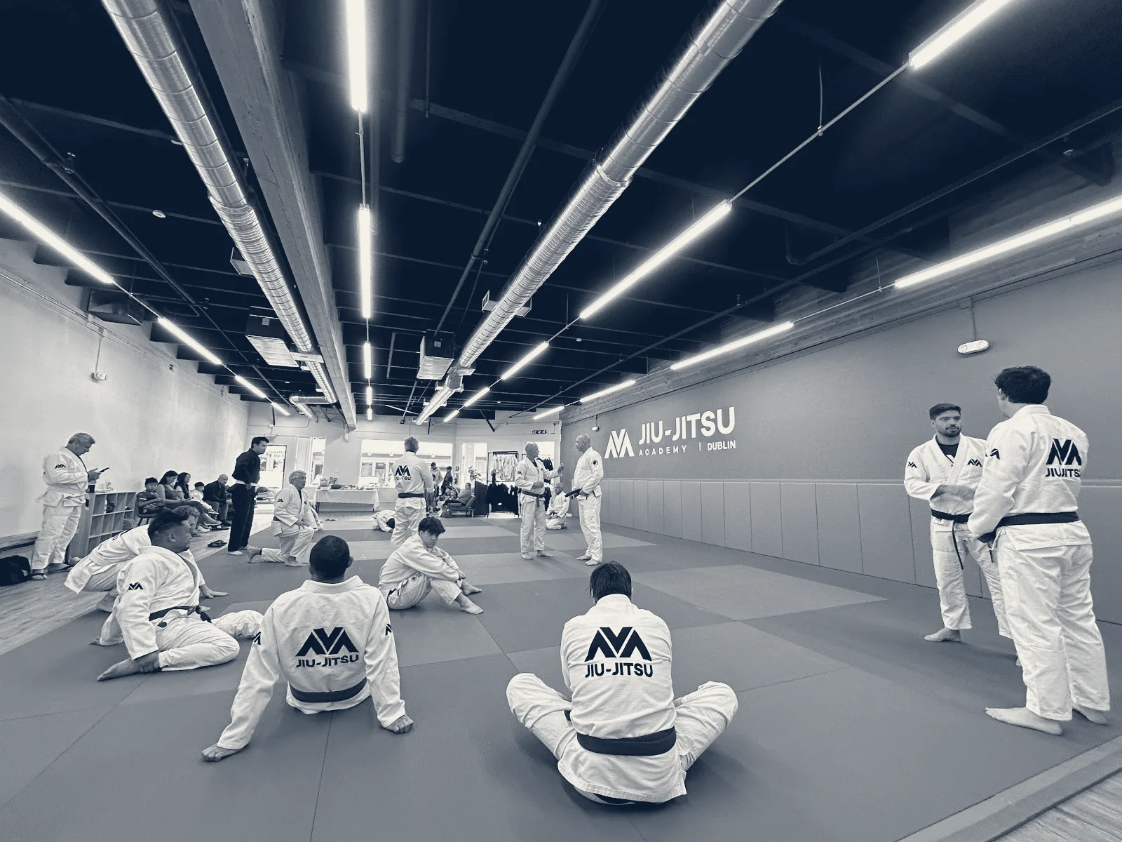 AVA JIU-JITSU ACADEMY — Dublin, California
