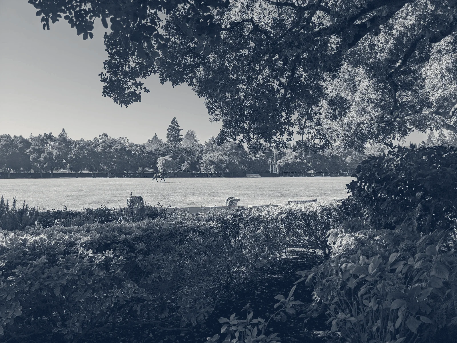 Menlo Circus Club — Atherton, California
