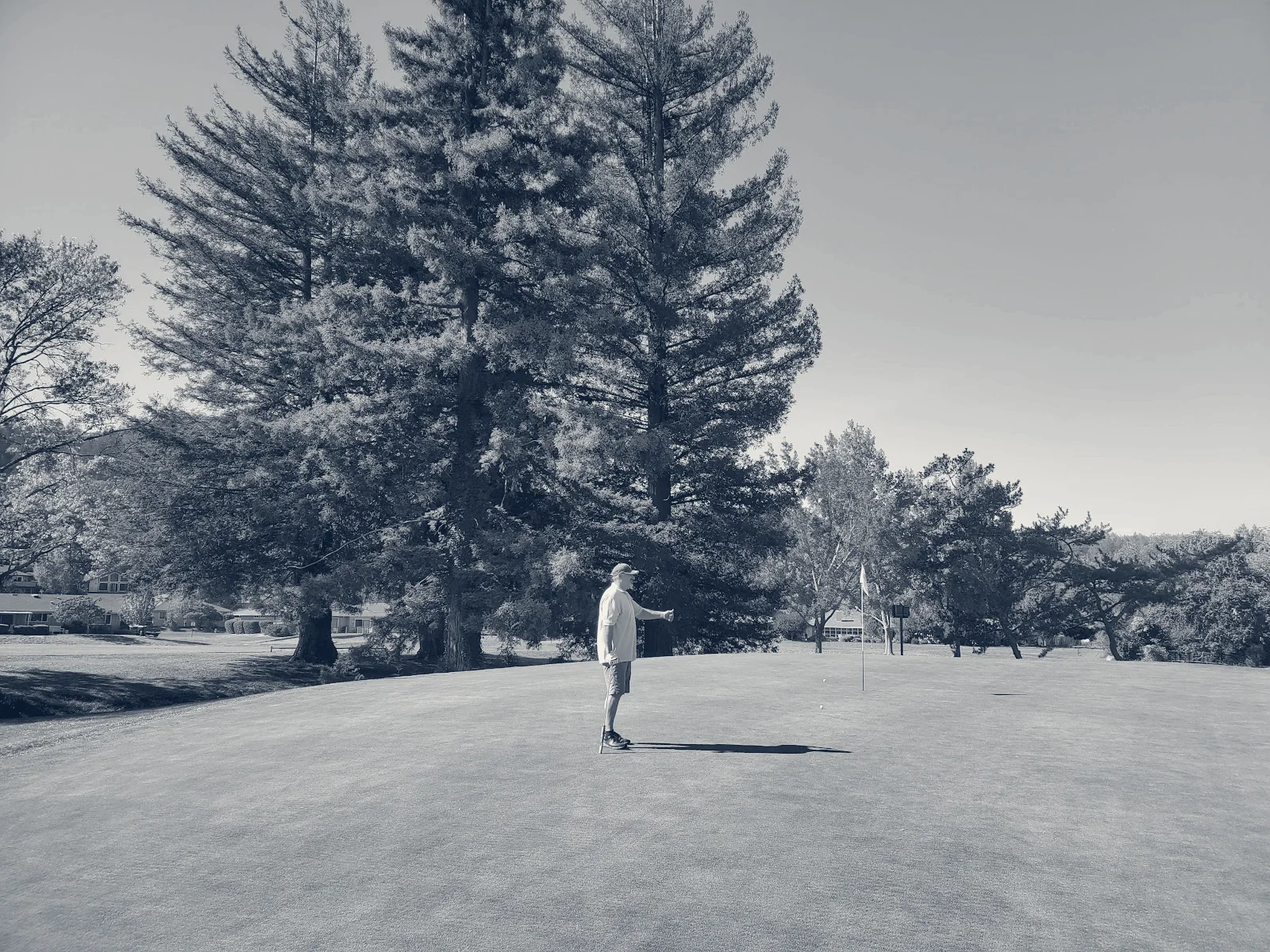 Valley of the Moon Club — Santa Rosa, California