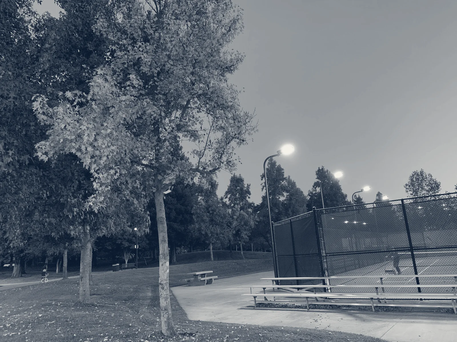 Lifetime Activities - Pleasanton — Pleasanton, California