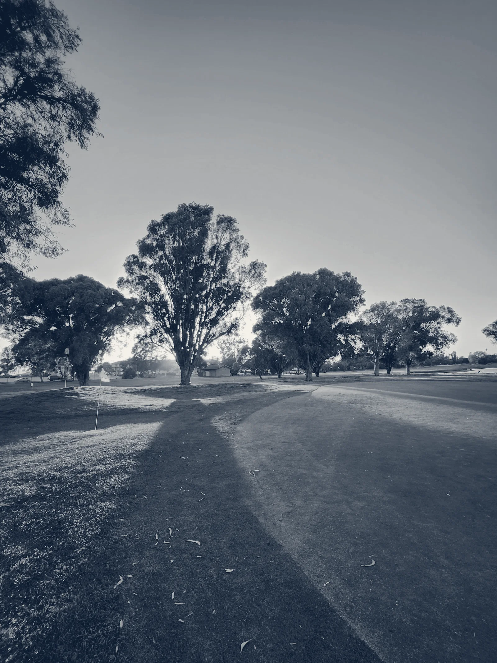 Marina Golf Course — San Leandro, California