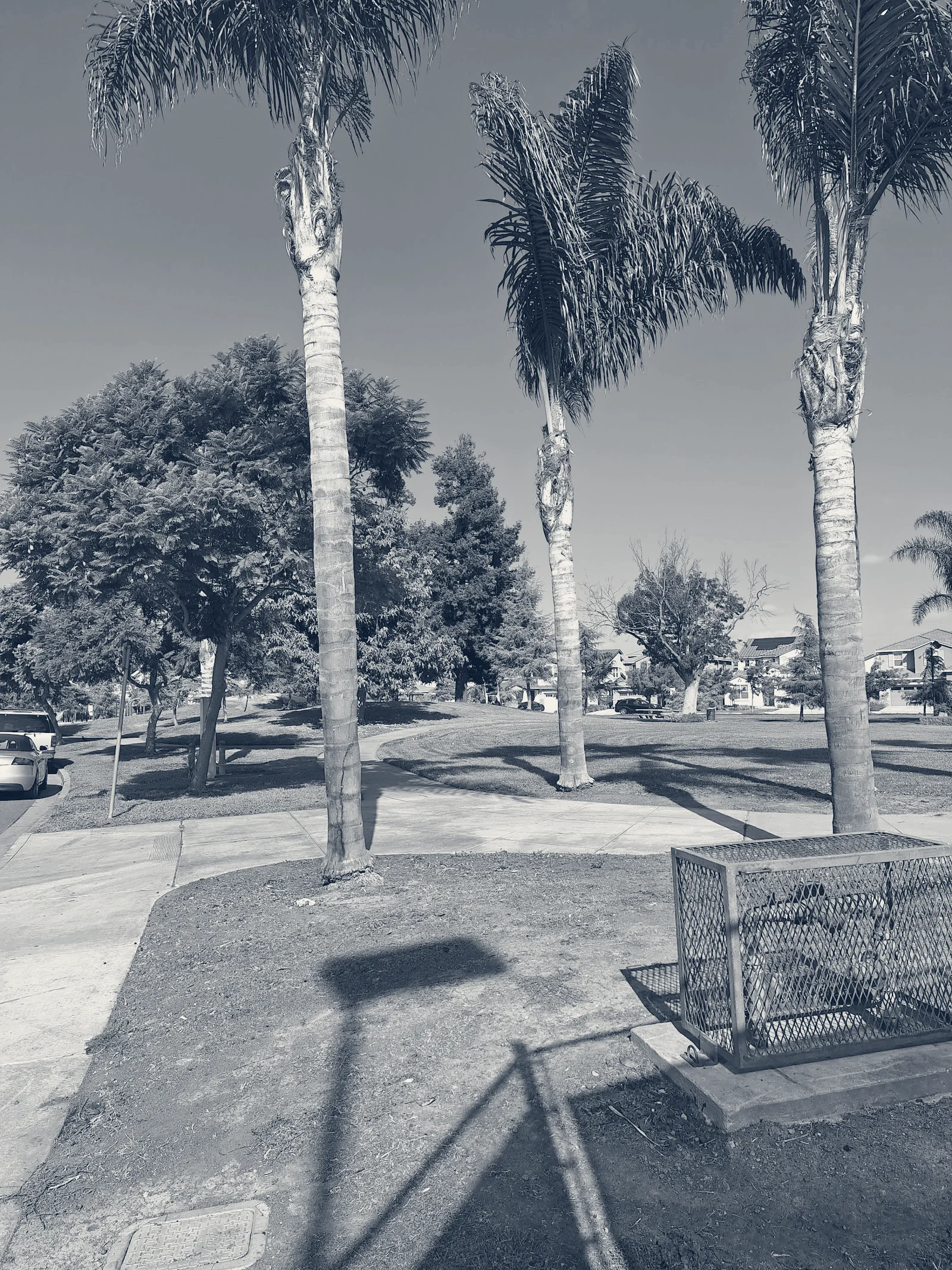 Tennis Courts | Veterans Memorial Park — Union City, California