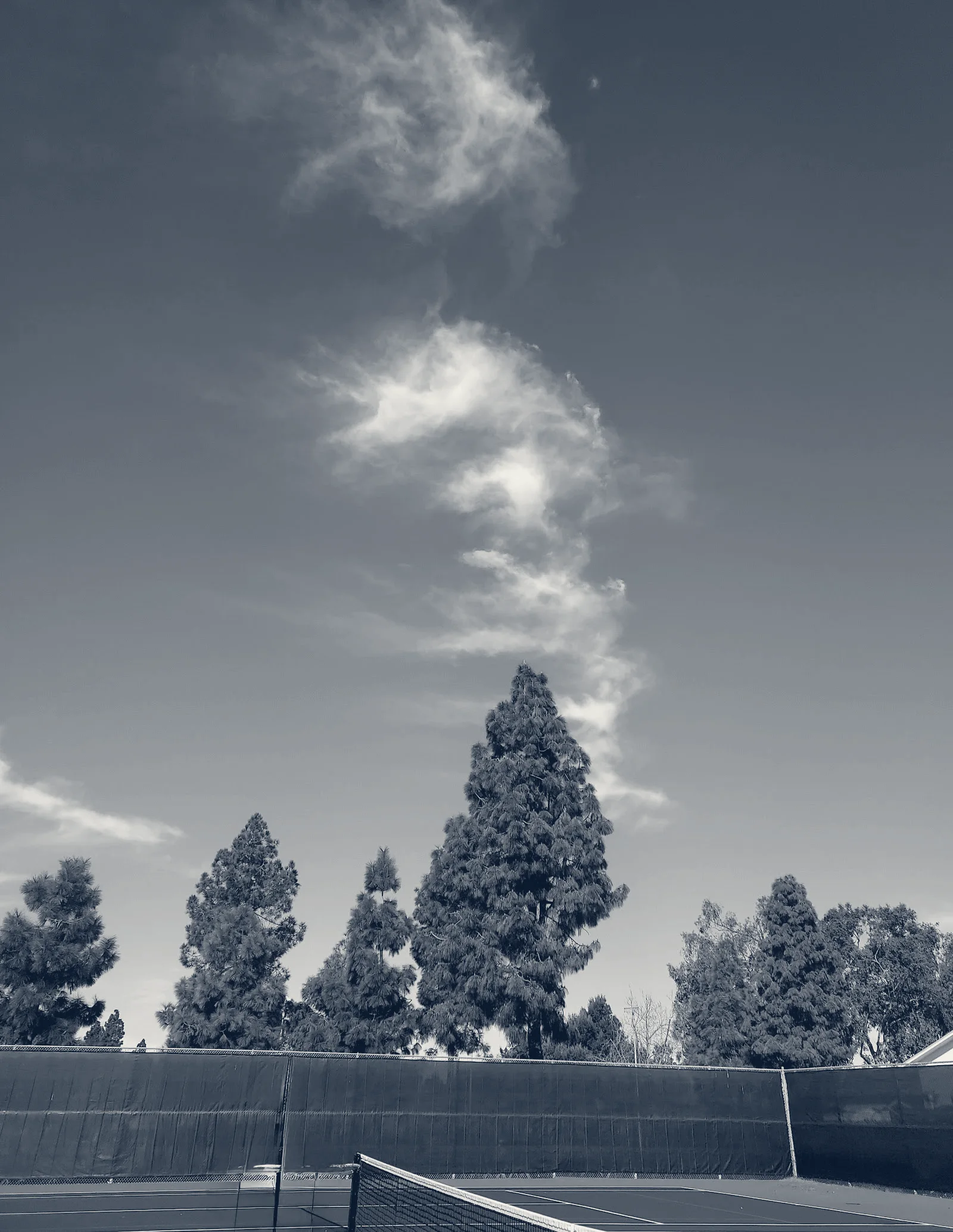 Birch Grove Tennis Courts — Newark, California