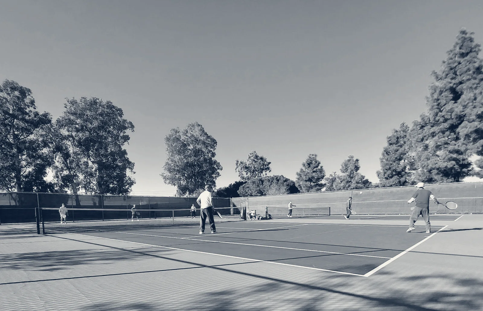 Birch Grove Tennis Courts — Newark, California