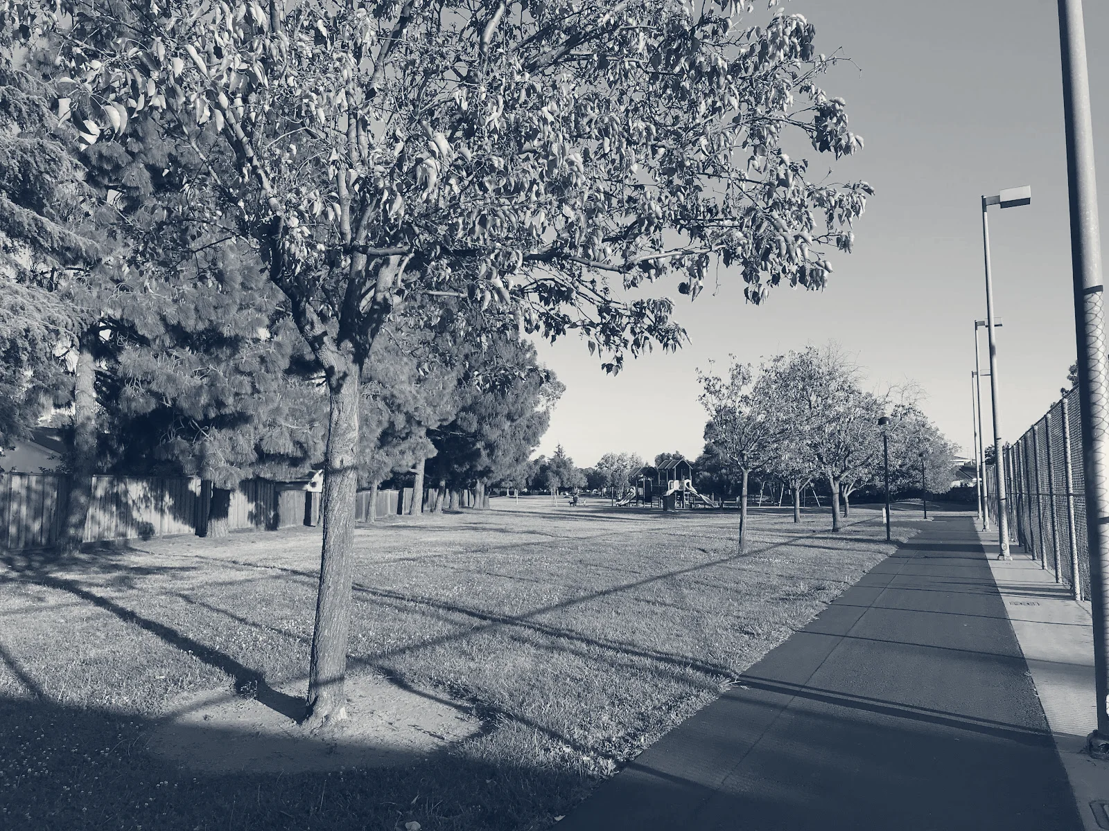 Pinewood Park Tennis Courts — Milpitas, California