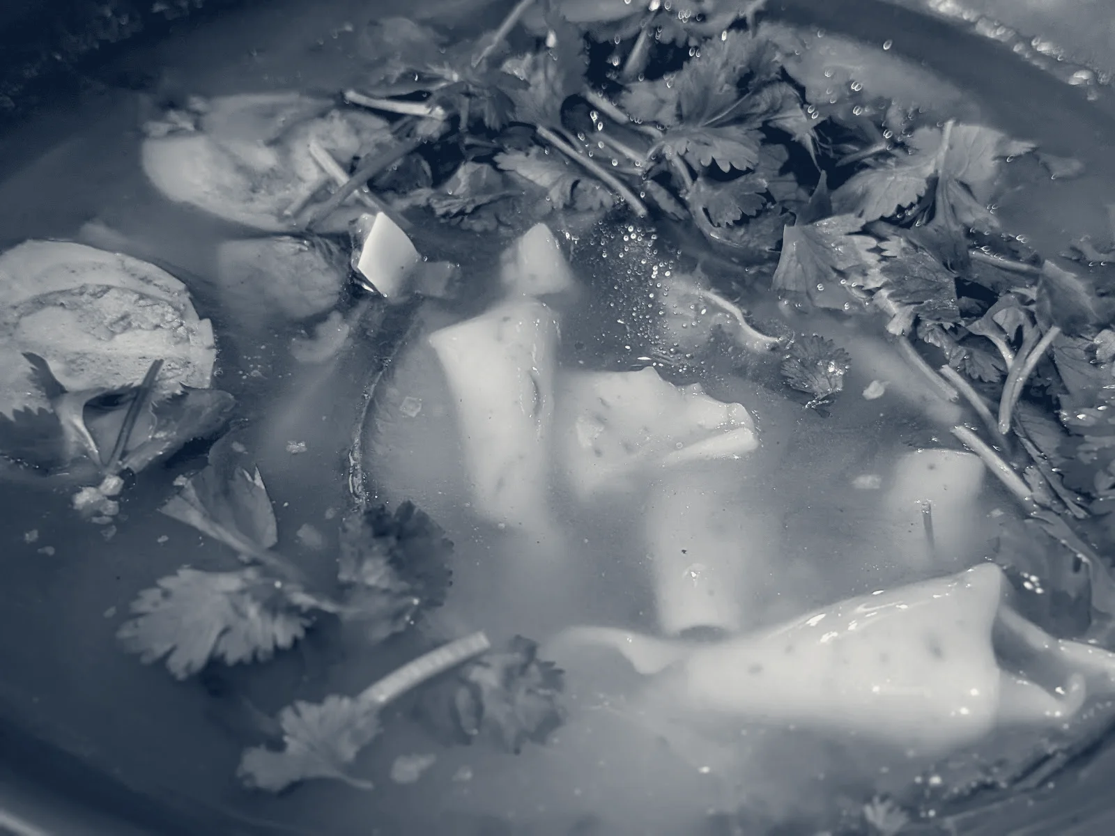Taste Of Chao Shan 够力潮汕火锅 — City of Industry, California