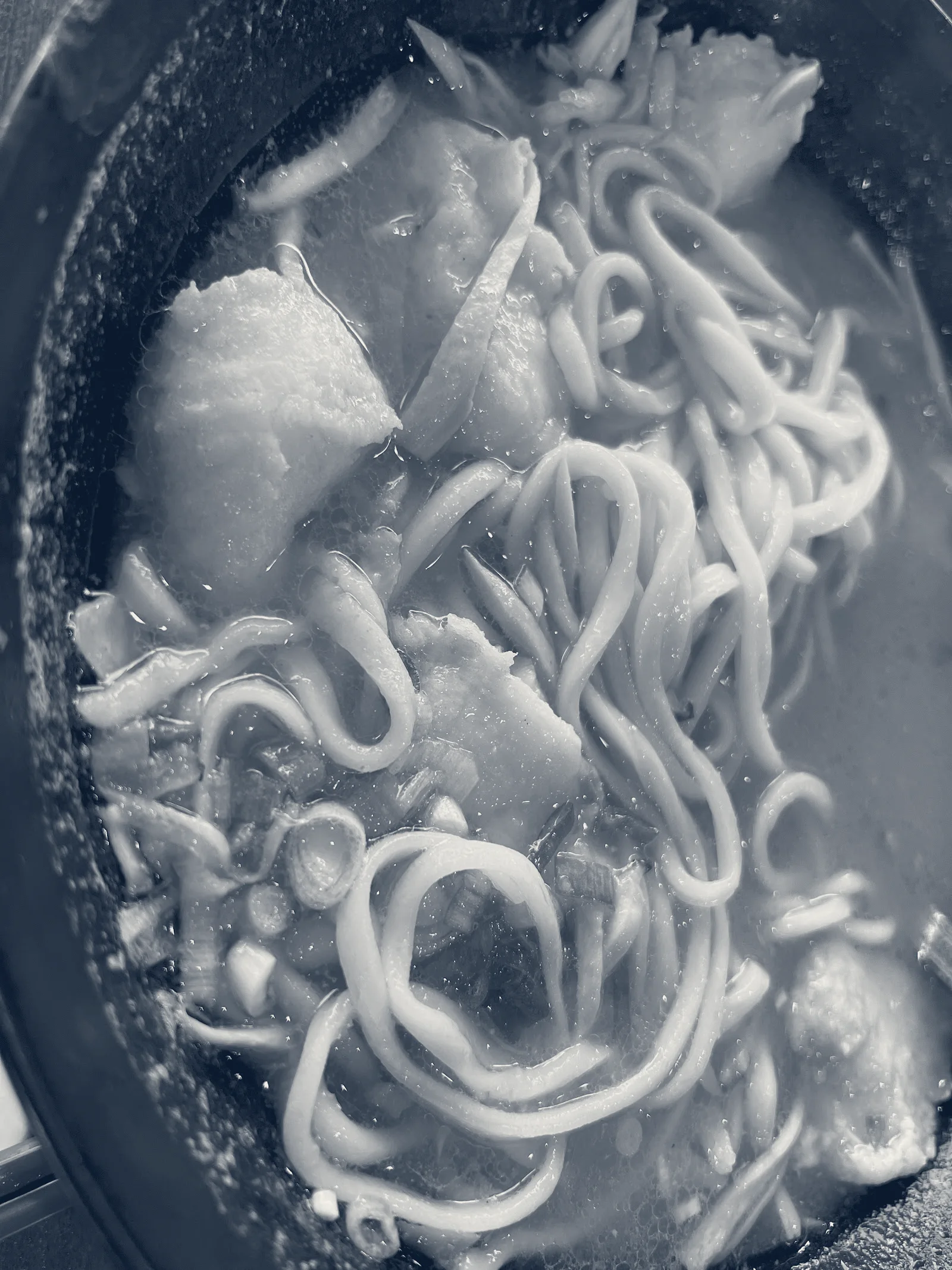 New Mandarin Noodle Deli(家鄉) — Temple City, California