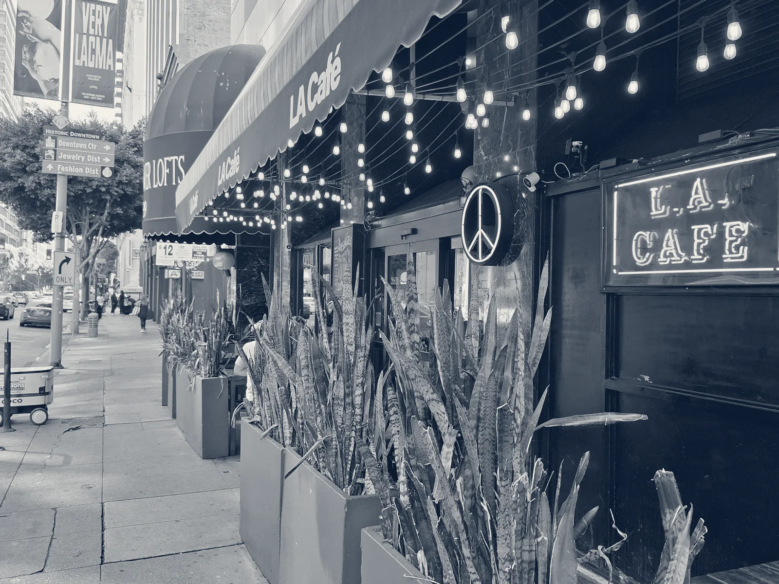 The L.A. Cafe — Los Angeles, California