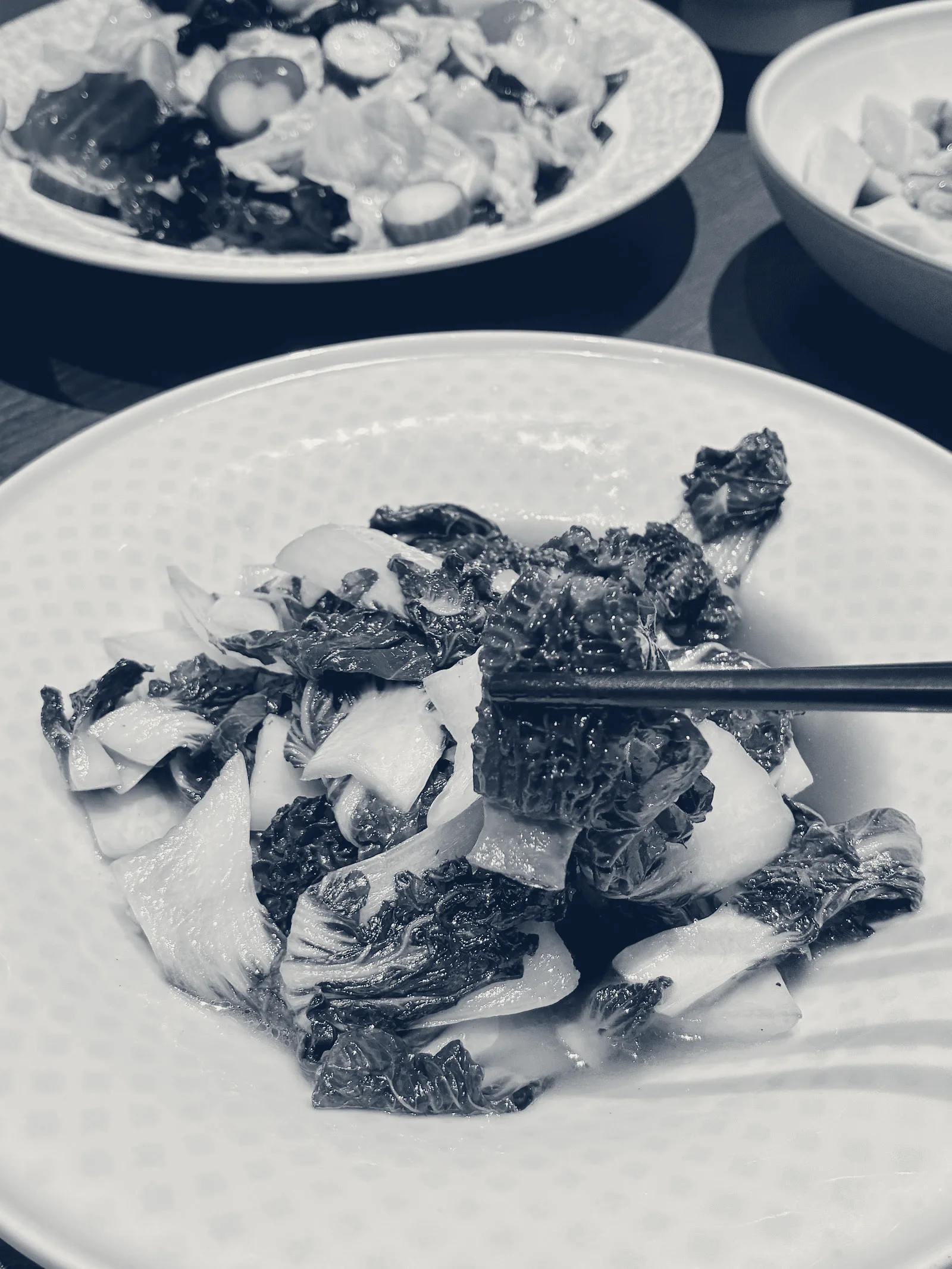 Beijing Tasty House — San Gabriel, California