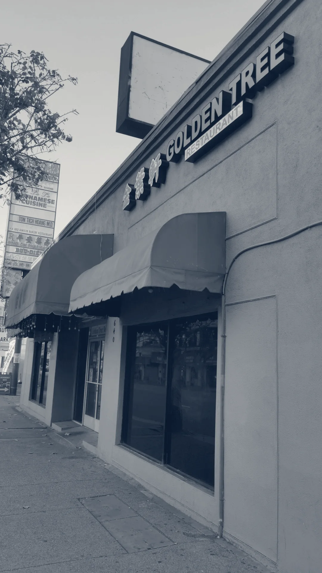 Golden Tree Restaurant — Los Angeles, California