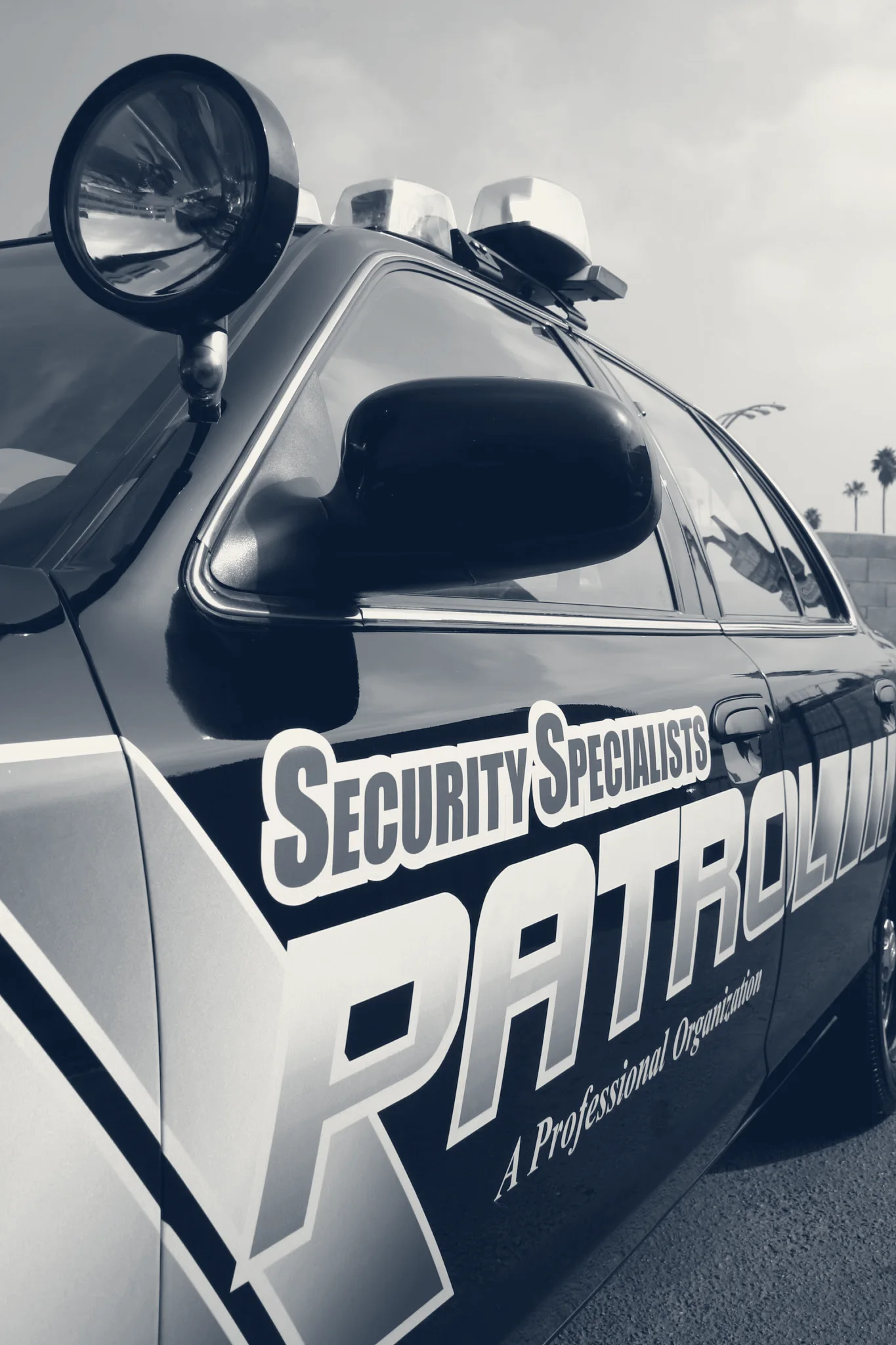 Security Specialists — San Fernando, California