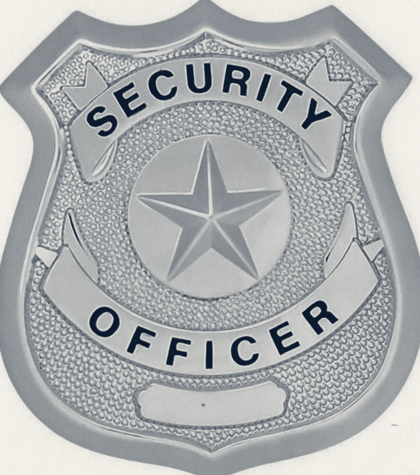 Alliance Protective Services — Los Angeles, California