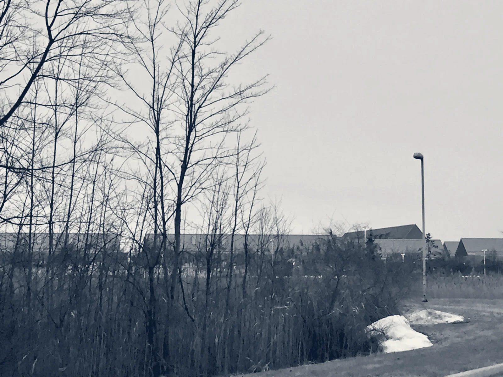 Grace Lake Corporate Center — Wayne, Michigan