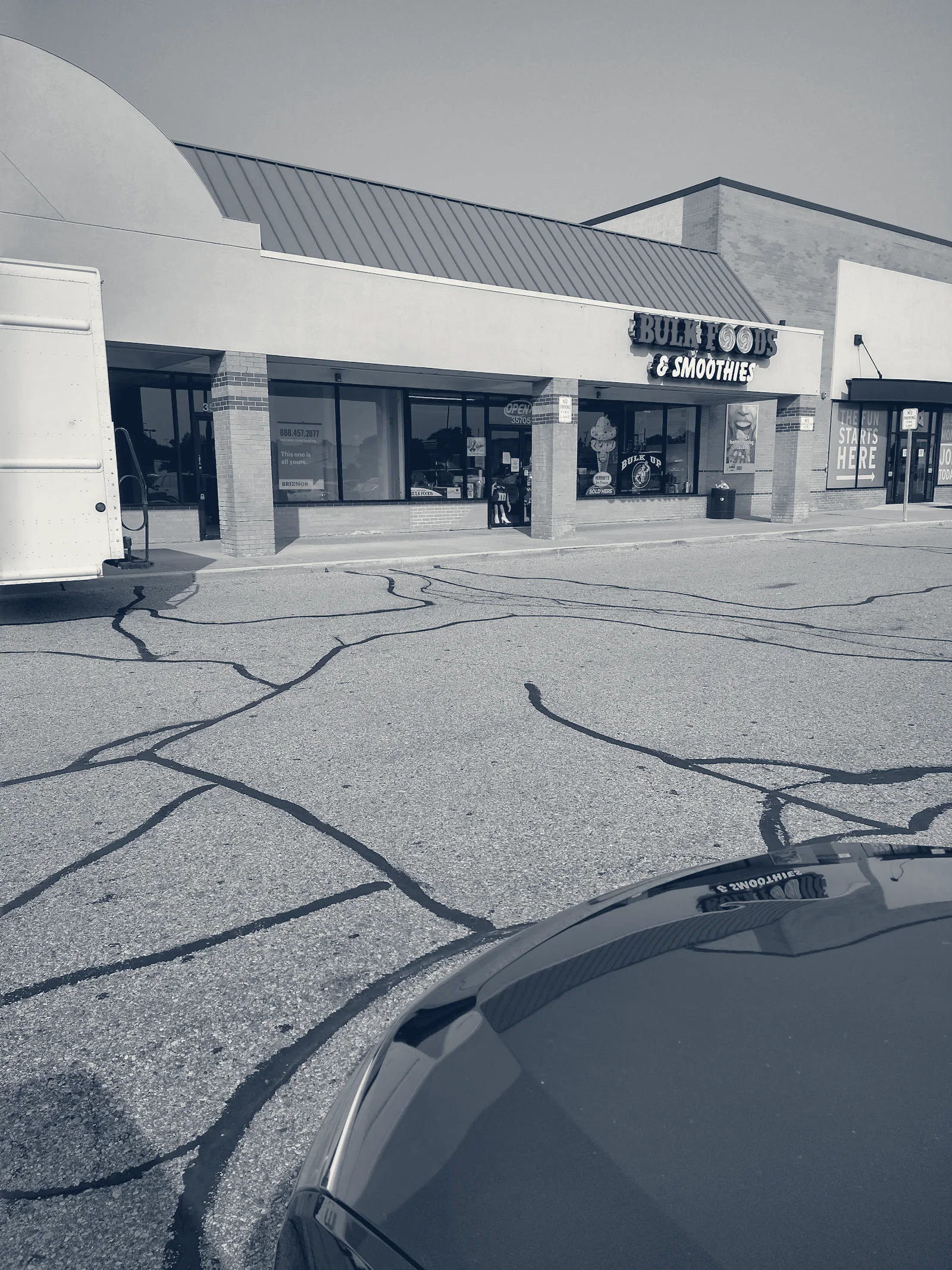 Central City Plaza Shopping Center — Westland, Michigan