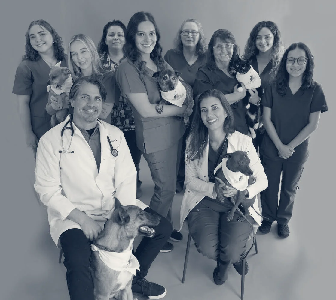East Chapman Veterinary Center — Orange, California