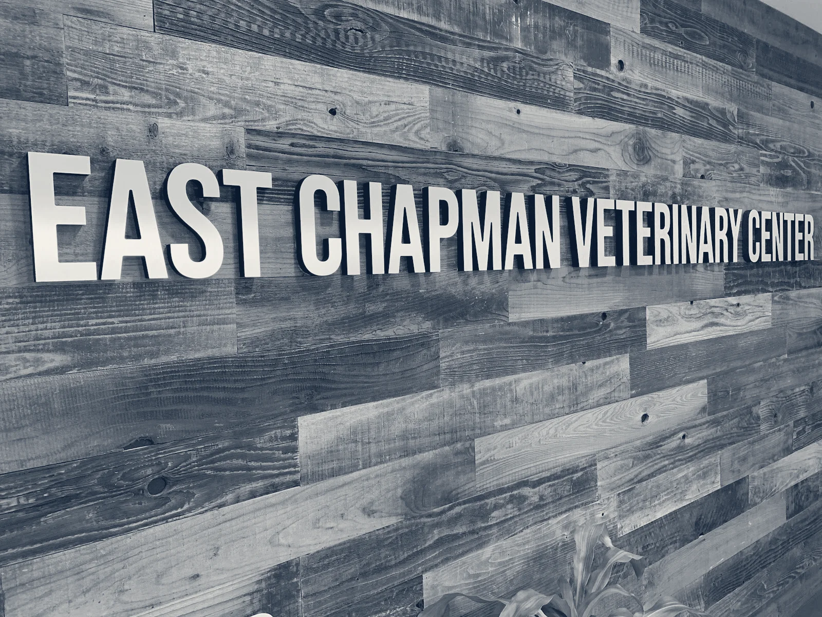 East Chapman Veterinary Center — Orange, California