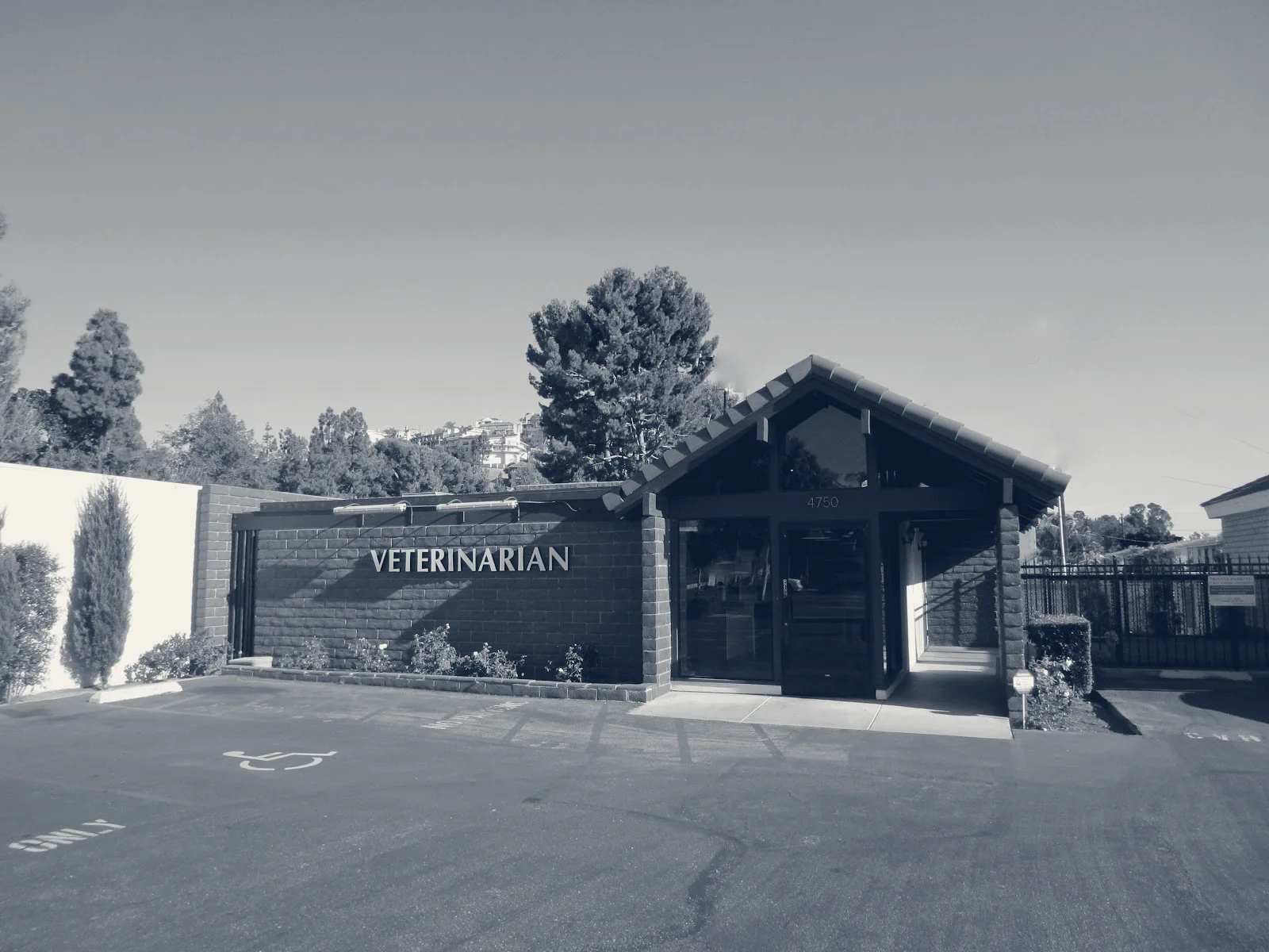 Orange Hill Veterinary Hospital — Orange, California