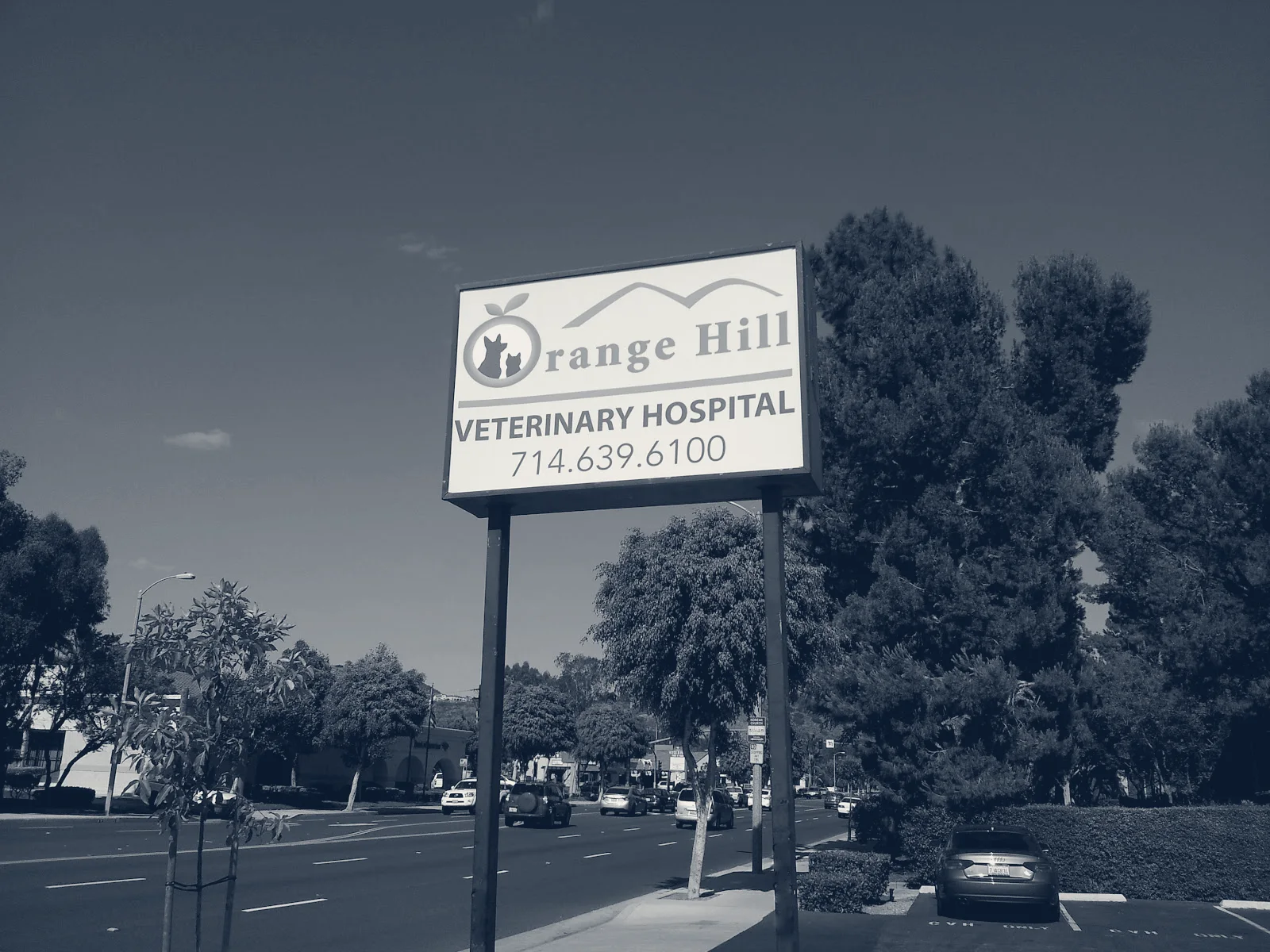 Orange Hill Veterinary Hospital — Orange, California