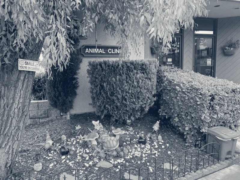 Villa Park Animal Clinic — Orange, California