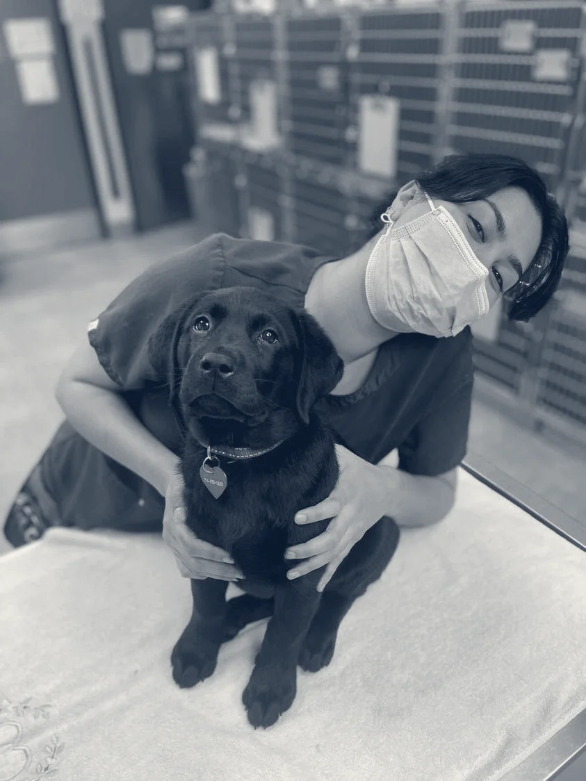 Villa Park Animal Clinic — Orange, California