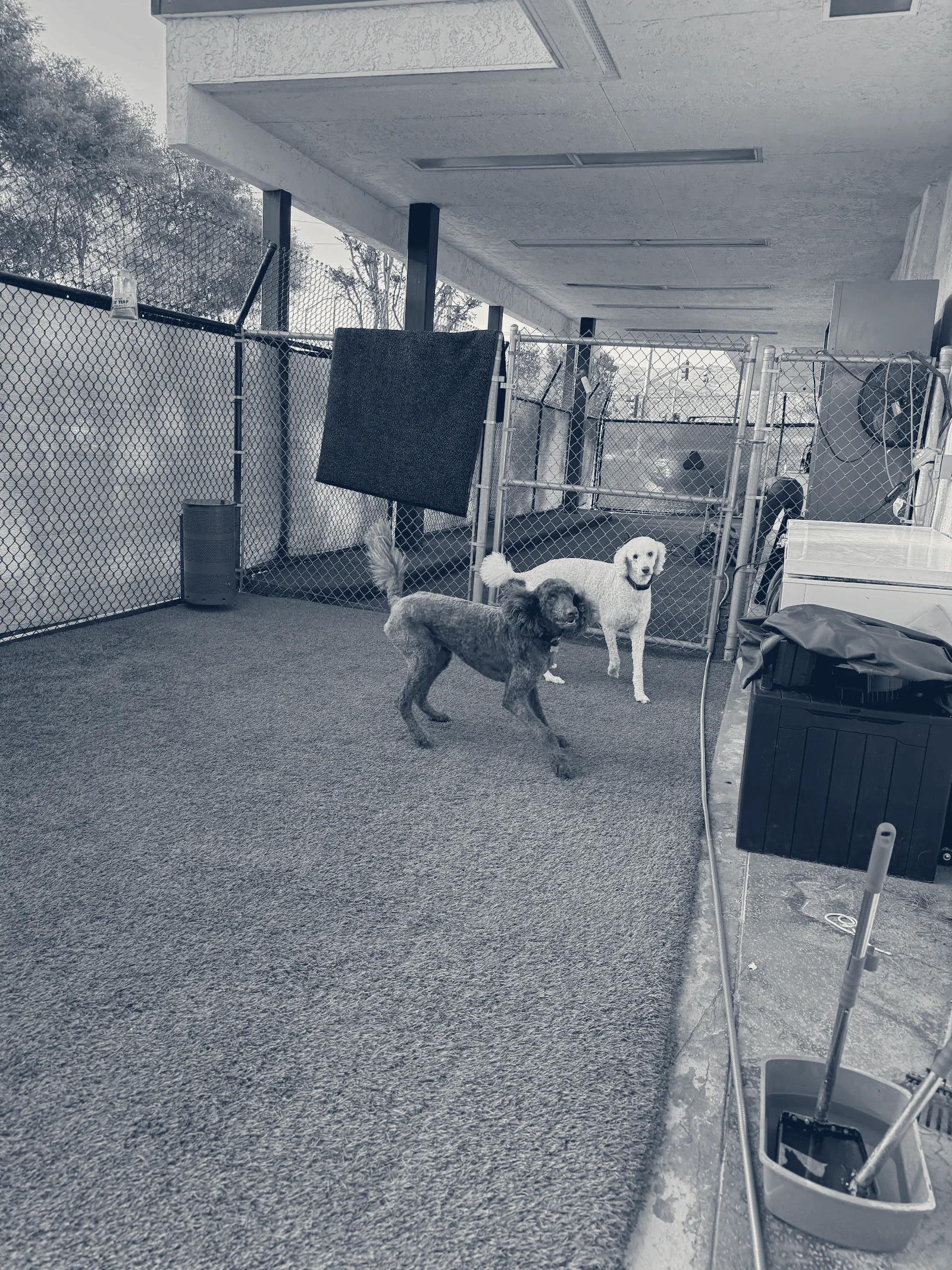 Anaheim Hills Pet Clinic — Anaheim, California