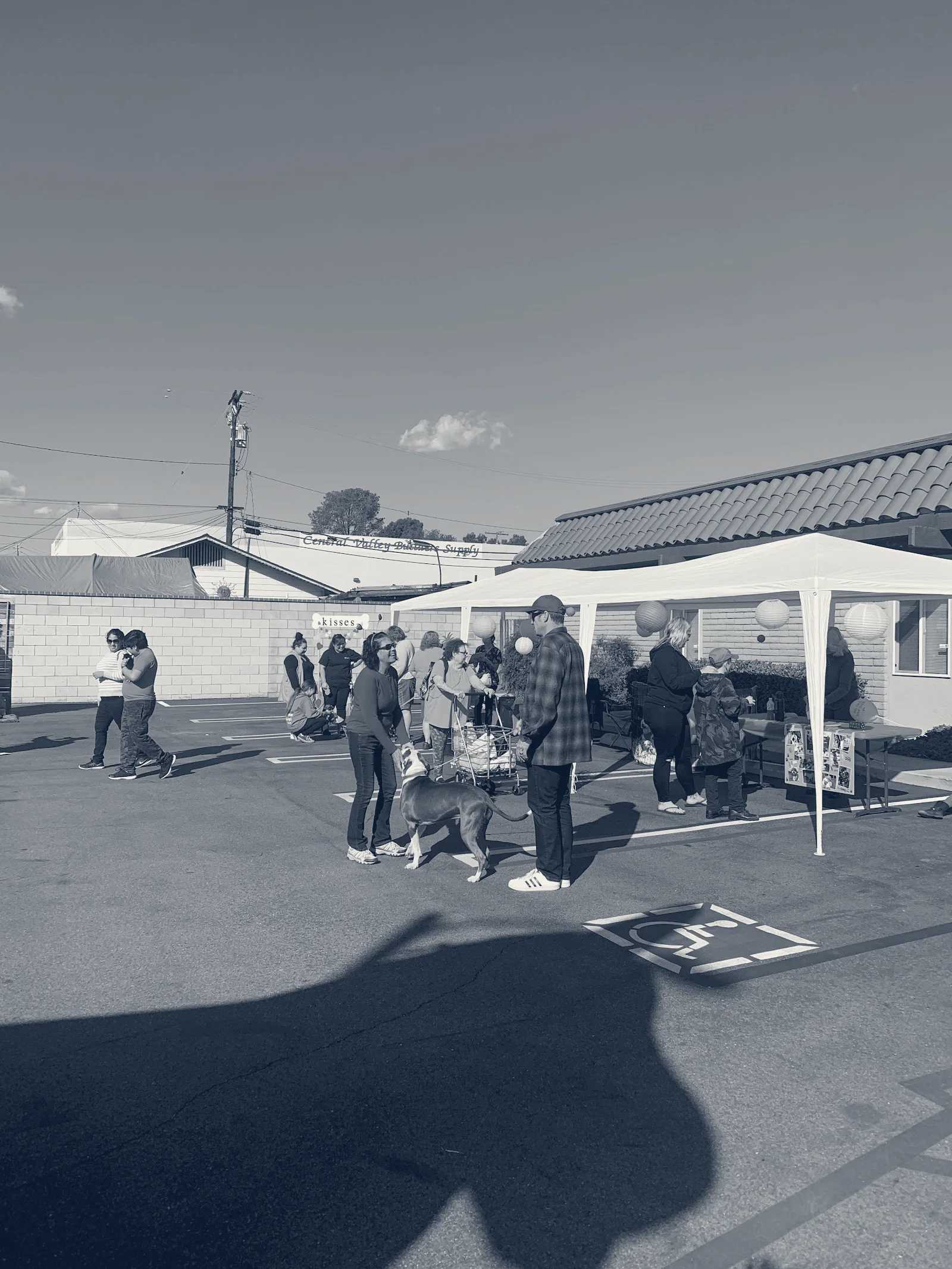Nohl Ranch Animal Hospital — Orange, California