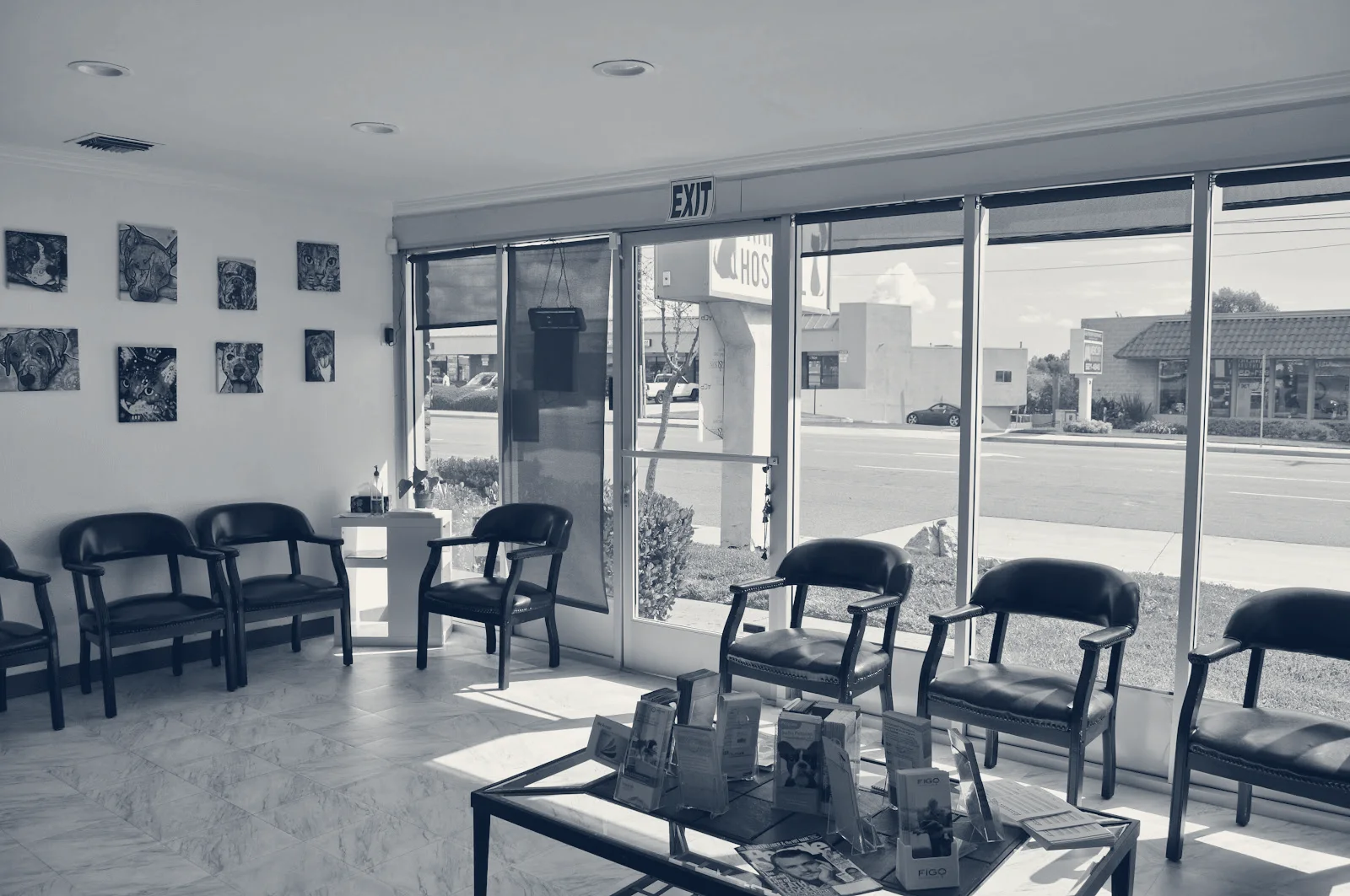 Nohl Ranch Animal Hospital — Orange, California
