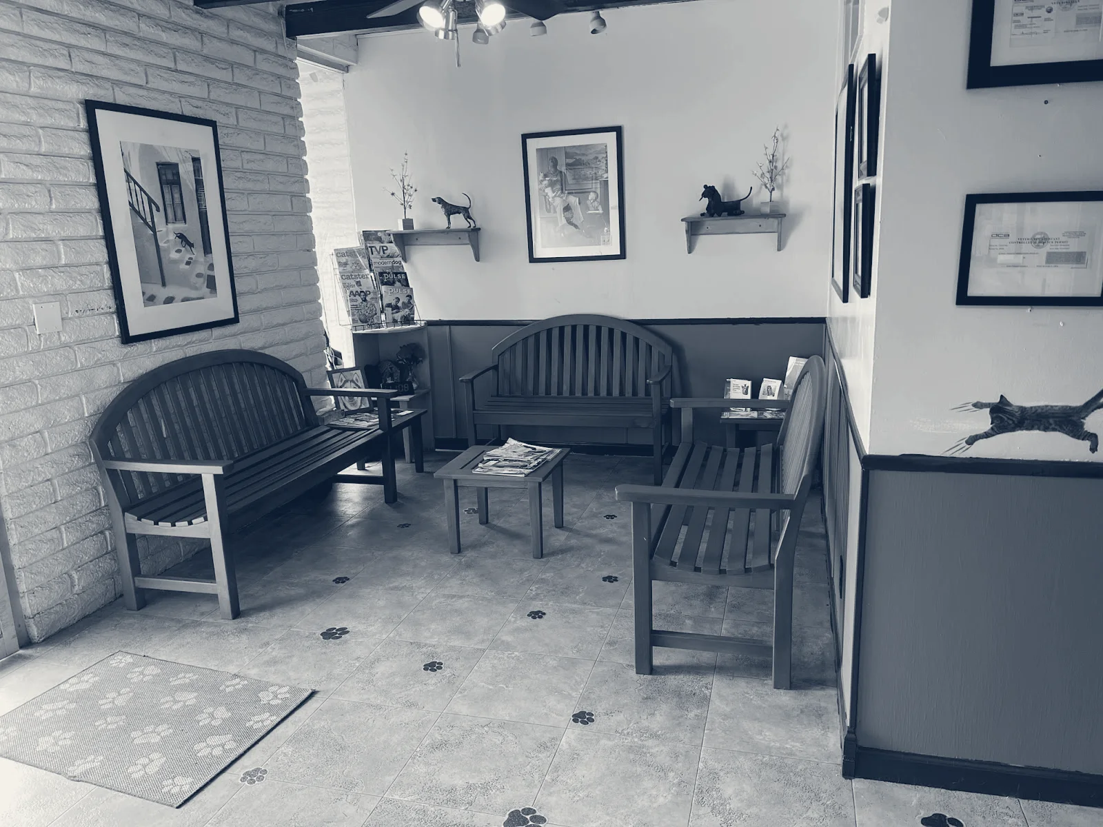 Affordable Animal Hospital of Orange — Orange, California