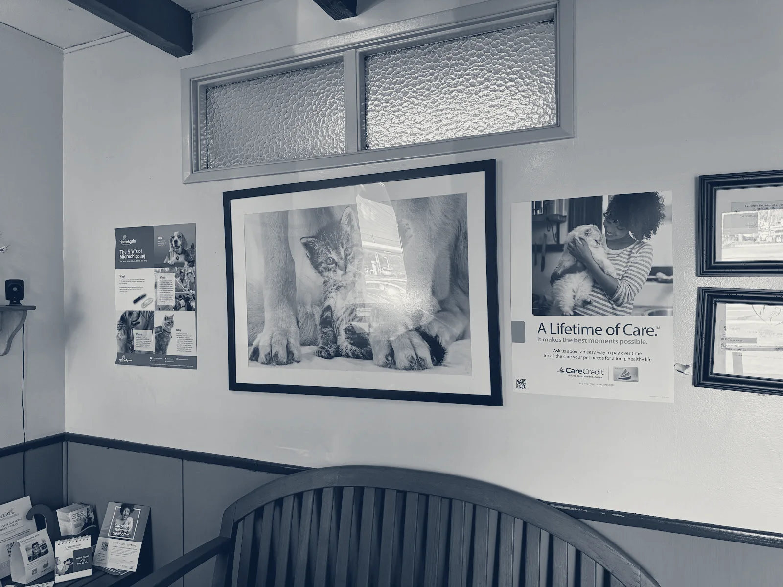 Affordable Animal Hospital of Orange — Orange, California