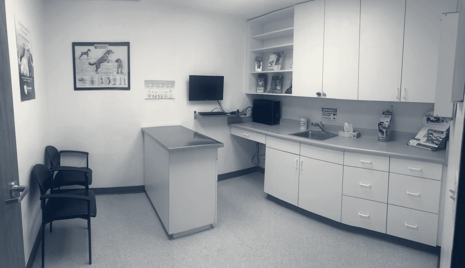 Animal Medical Center of Orange — Orange, California