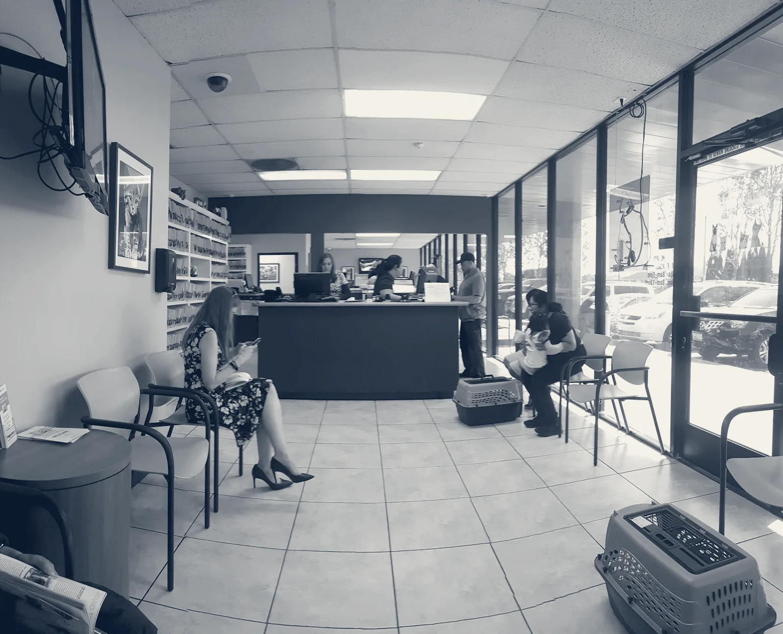 Animal Medical Center — Fountain Valley, California