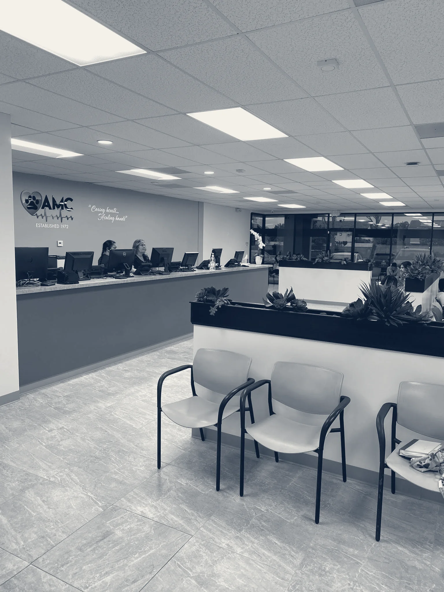 Animal Medical Center — Fountain Valley, California
