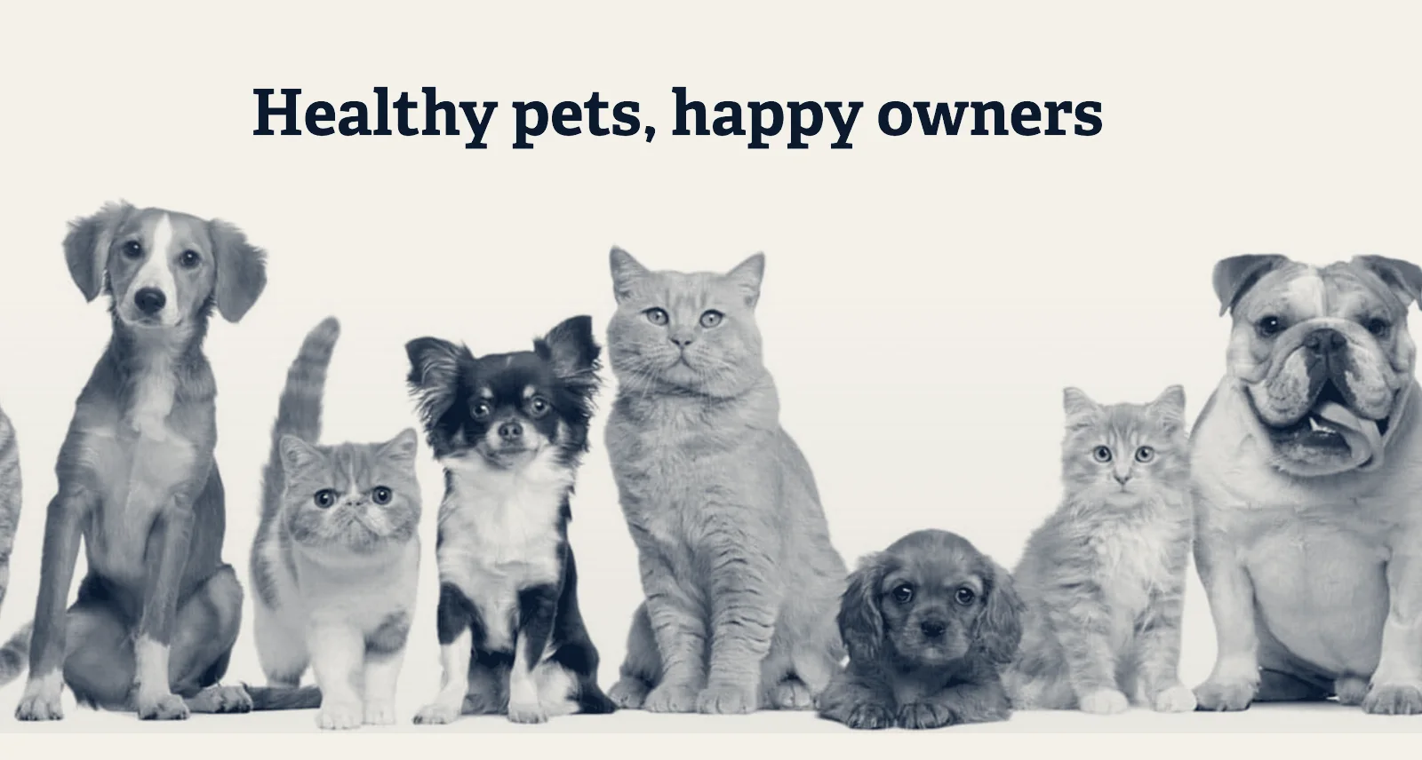 Affordable Animal Hospital: Santa Ana — Santa Ana, California