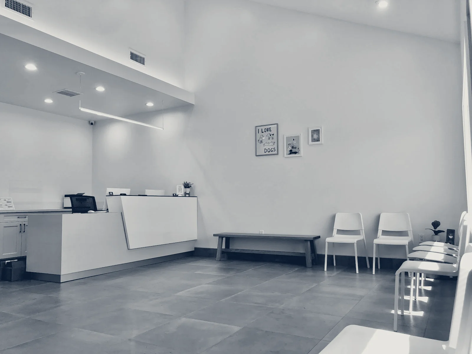 Lee Animal Hospital of Orange County - Walk-Ins Welcome! — Orange, California