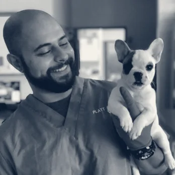 Healthy Pet Hospital and Grooming — Orange, California