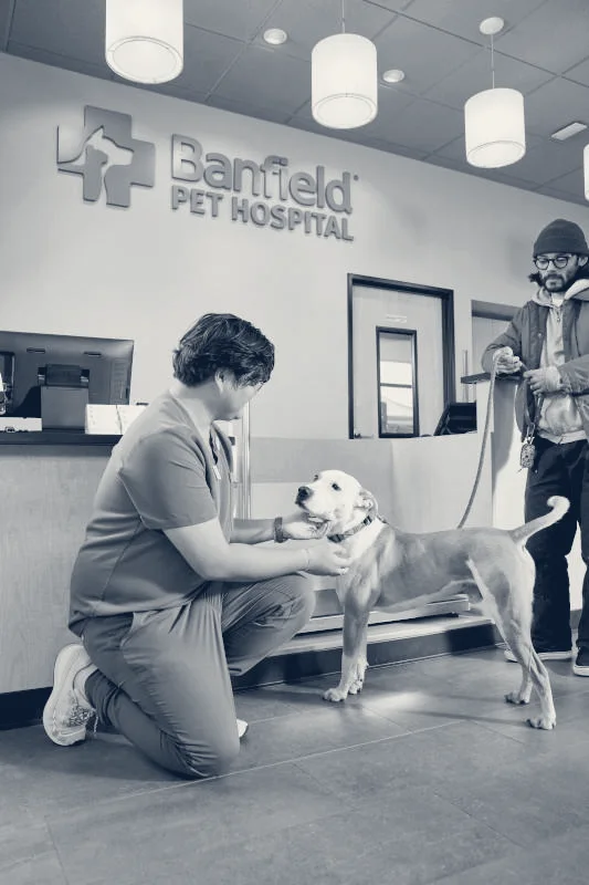 Banfield Pet Hospital — Orange, California