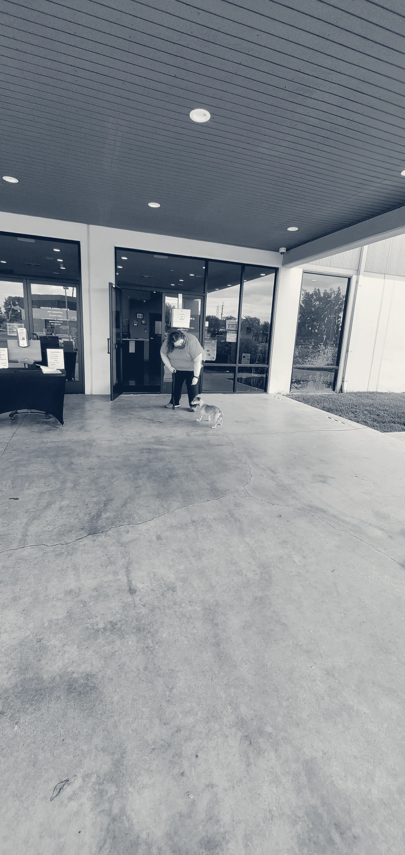 Anaheim Animal Care & Pet Hospital — Anaheim, California